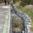 군산청소년수련관 | 군산 월명호수 둘레길(수변로) 걷기