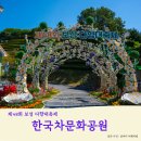 한국차박물관(소리문화공원) | 제 48회 보성 다향대축제 - 다향대축제장 한국차문화공원