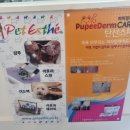 꽃보다 Dog 이미지