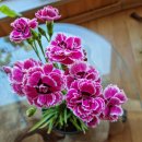 (주)더블파이브 이미지