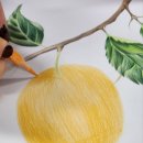 보타니컬 꽃 식물 드로잉 | 보타니컬아트 열매 표현 색연필 질감 살리는 방법