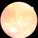 다올동물병원 이미지