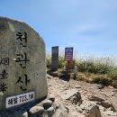 장천재체육공원 이미지