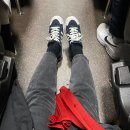 일상 기록하기 # 2024년 청룡의 해 첫째 주 일기