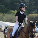 건영승마장 이미지