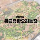 완정농장 이미지