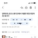 임학포토