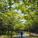 해돋이 작은도서관 | 송도 해돋이공원 6월 장미 피크닉 도서관 놀이터 화장실