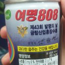 여명스토리