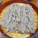 메밀모밀 | 대전 서구 둔산동 미진 식당 메밀 모밀 소바 후기 현지인 맛집 내돈내산