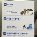 아쿠아플라넷 일산 | 아기랑 일산 아쿠아플라넷 할인 및 후기(동물+수족관 한 번에!)