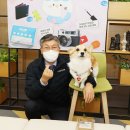 디플 이미지