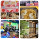 소풍게임랜드 | 전주 전북대 아이랑 데이트 코스 아트박스, 오락실, 덕진공원 산책