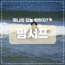 양양팜서프 이미지