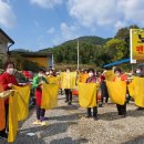 노란담장 이미지