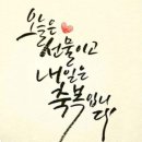 다온심리상담센터 이미지