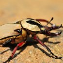 산곡초등학교 이미지