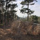 바닷가농원 이미지