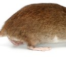 미성정보시스템