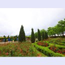 곡성-083 티스토리