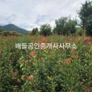 보성상가 이미지