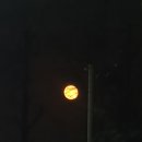 귤네일 - 양산시 | 귤네일