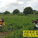 은행정농장 이미지