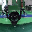 Bubble line 이미지