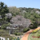 남산공원 이미지