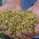 뱅뱅 홍성 이미지