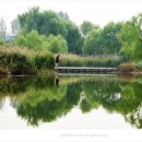 연못 속 풍경 이미지