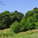 신산3리마을회관 이미지