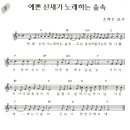 노래하는숲 Daum카페
