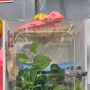 인천 락 실내바다낚시터 이미지