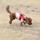 장암교 화장실 이미지