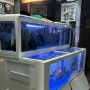 밥대장술대장 | 포항횟집 “해물대장 쌍사점” 신선한 모듬회 먹고 온 후기