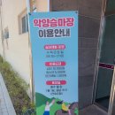 악양 승마장 이미지