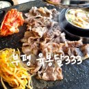 육봉달333 이미지