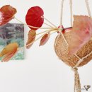 구로-현장-구로-2260 | 위클리그리다 열여섯번째 9월의4 주간일기 NewnewNEW