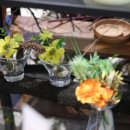 파크 블러썸 이미지