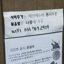 춘원닭갈비 | 원주 단계동 닭갈비 맛집 '춘원 닭갈비' 5번 이상 다녀온 리얼 후기!