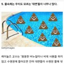 파크목욕탕 Daum카페