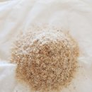 씨제이(C.J)홈마트 | 차전자피 효능, 부작용, 먹는법 총정리 – 가루 vs 환, 뭐가 더 좋을까 (feat. 변비 해결, 콜레스테롤...