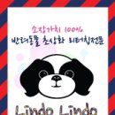 린도 이미지
