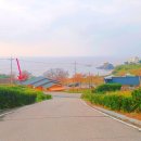 알로하무인텔 이미지