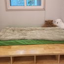 강릉 숙소 추천[송정해변] 새로 오픈한 투룸 숙소에서 힐링
