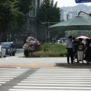 그늘막35 이미지