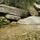 월출밧데리 이미지