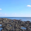 타라고 | 제주 우도 동굴보트 액티비티 추천 가격 예약 꿀팁, 탑승 후기 주의사항