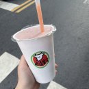 홀로 떠나는 대만 : 타이난 (+ 공유자전거 65km 여행기)
